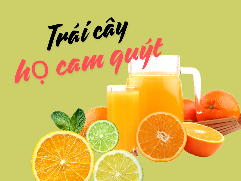 Những loại quả giúp cơ thể ngăn ngừa mất nước trong ngày nắng nóng ho cam quyt