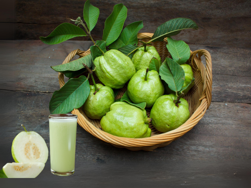 Những loại quả giúp cơ thể ngăn ngừa mất nước trong ngày nắng nóng Quả ổi - Nguồn vitamin C dồi dào cho làn da khỏe mạnh